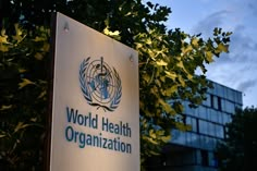 WHO Drug Monitoring Program: Ensuring Global Medicine Safety